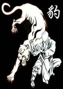 豹拳视频,一招一式尽显中华武术魅力